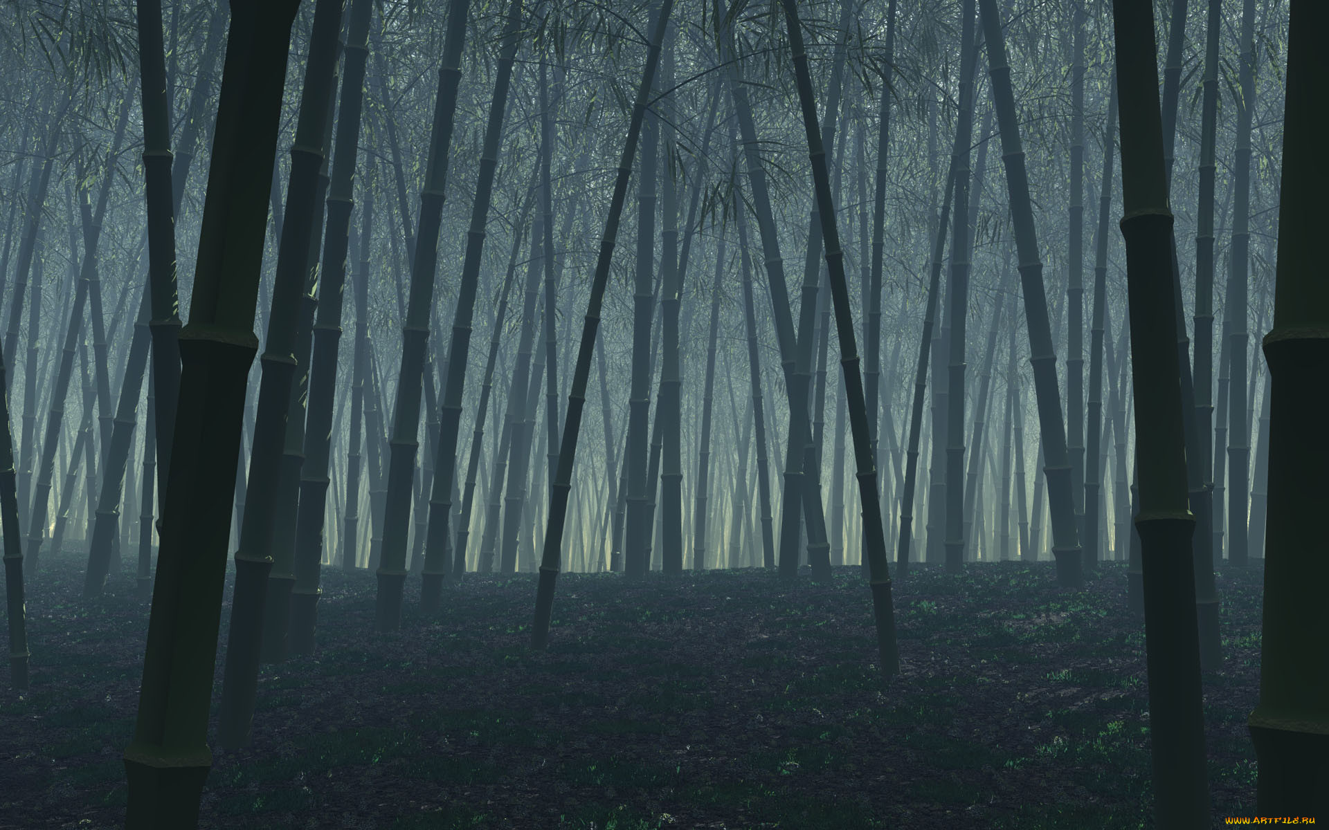 3, , nature, landscape, 